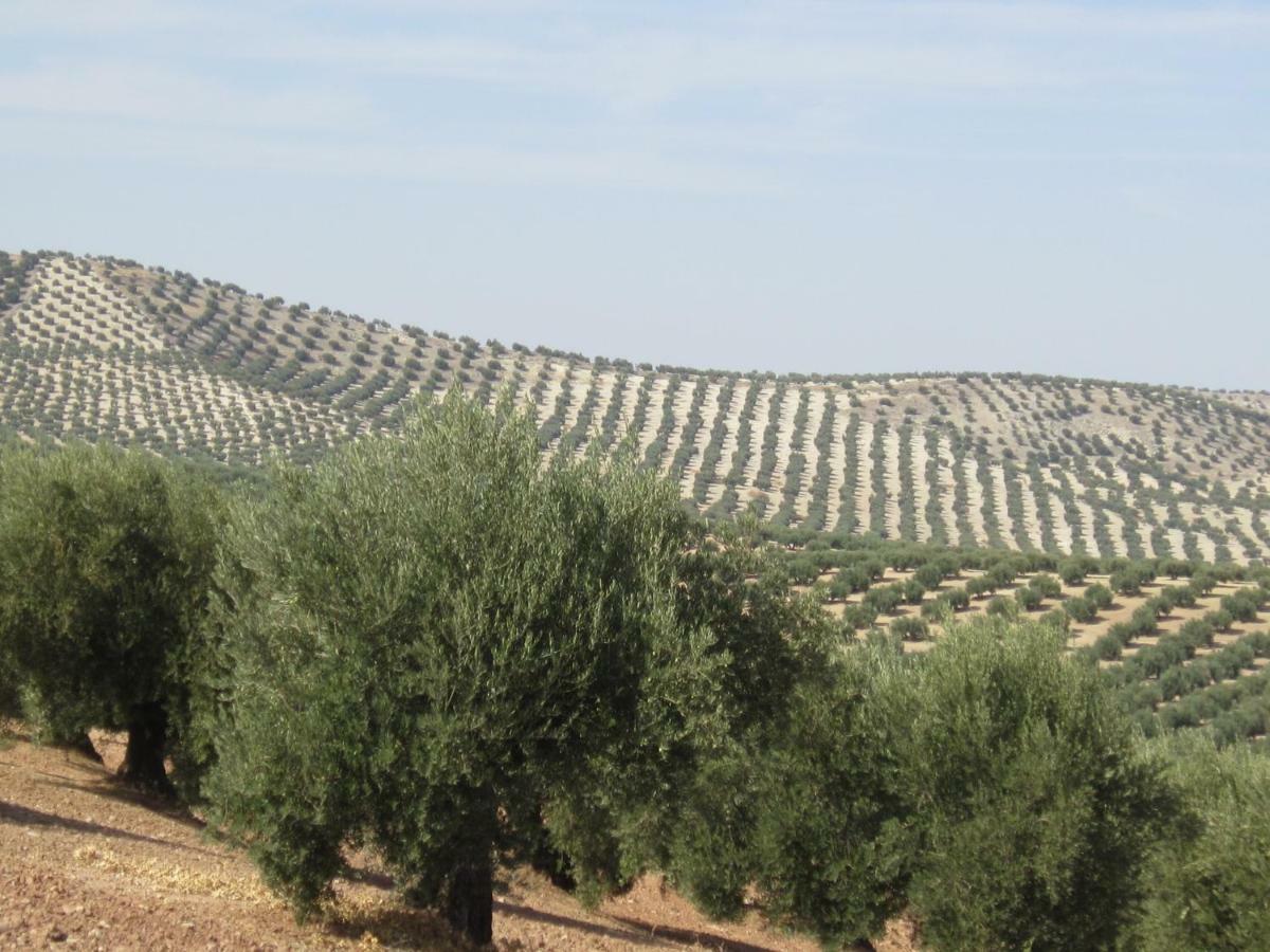 דירות Torre del Campo Mirador De Garciez מראה חיצוני תמונה